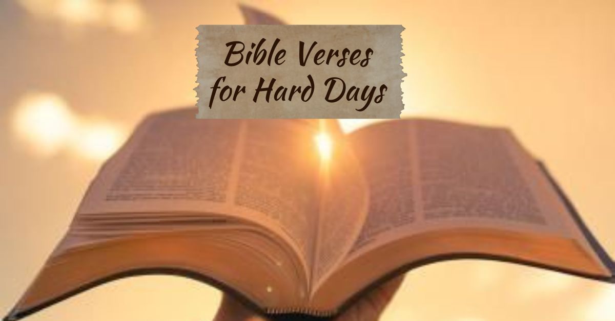 Bible Verses