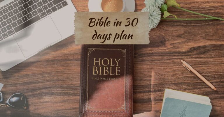Bible in 30 days plan